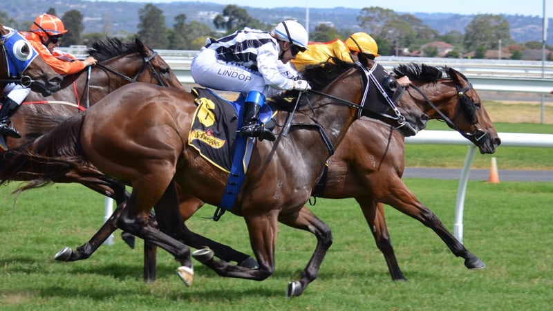 Morphettville Racecourse