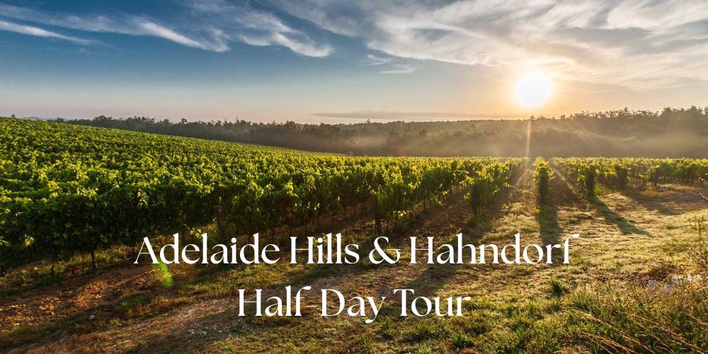 Hop-On Hop-Off Barossa Valley Wine Region Tour