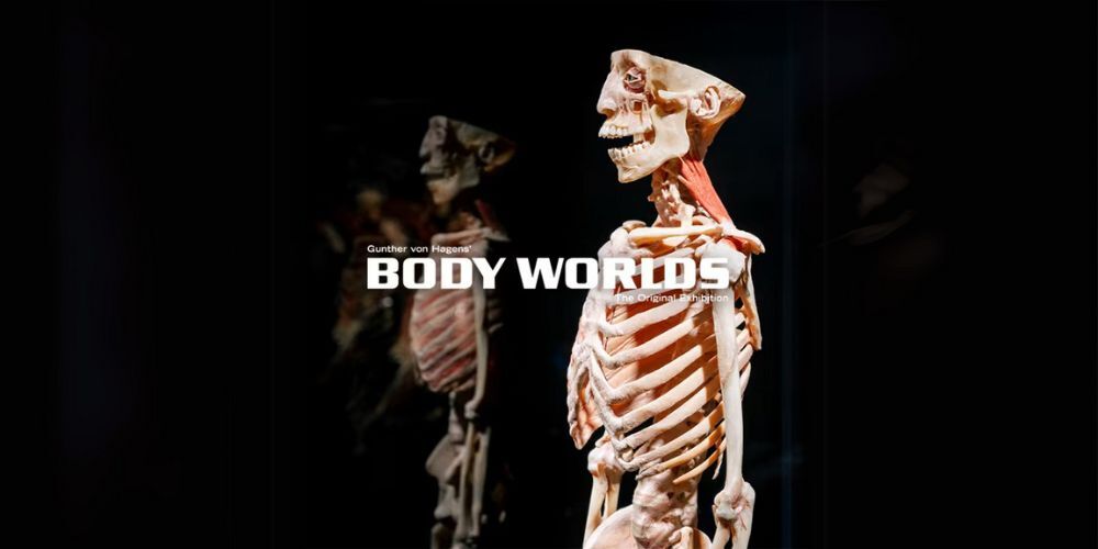 BODY WORLDS The Anatomy of Happiness  1000x500  TIX
