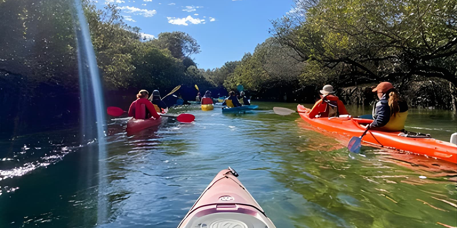 Dolphin Sanctuary Kayak Tour | 1000x500 | TIX