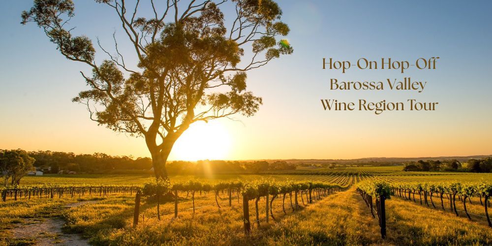 Hop-On Hop-Off Barossa Valley Wine Region Tour  1000x500  TIX