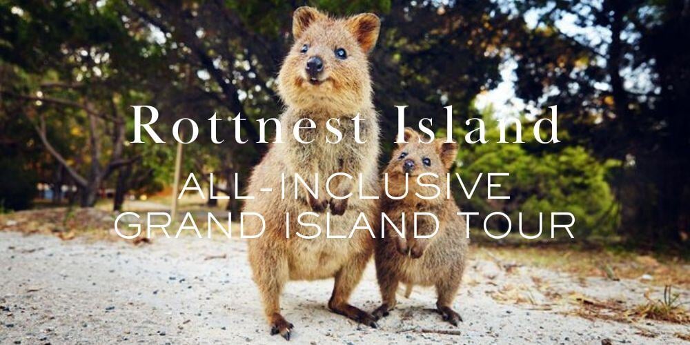 Rottnest Island | 1000x500 | TIX