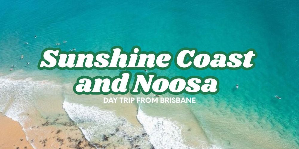 Sunshine Coast Hinterland and Noosa Day Trip from Brisbane  1000x500  TIX