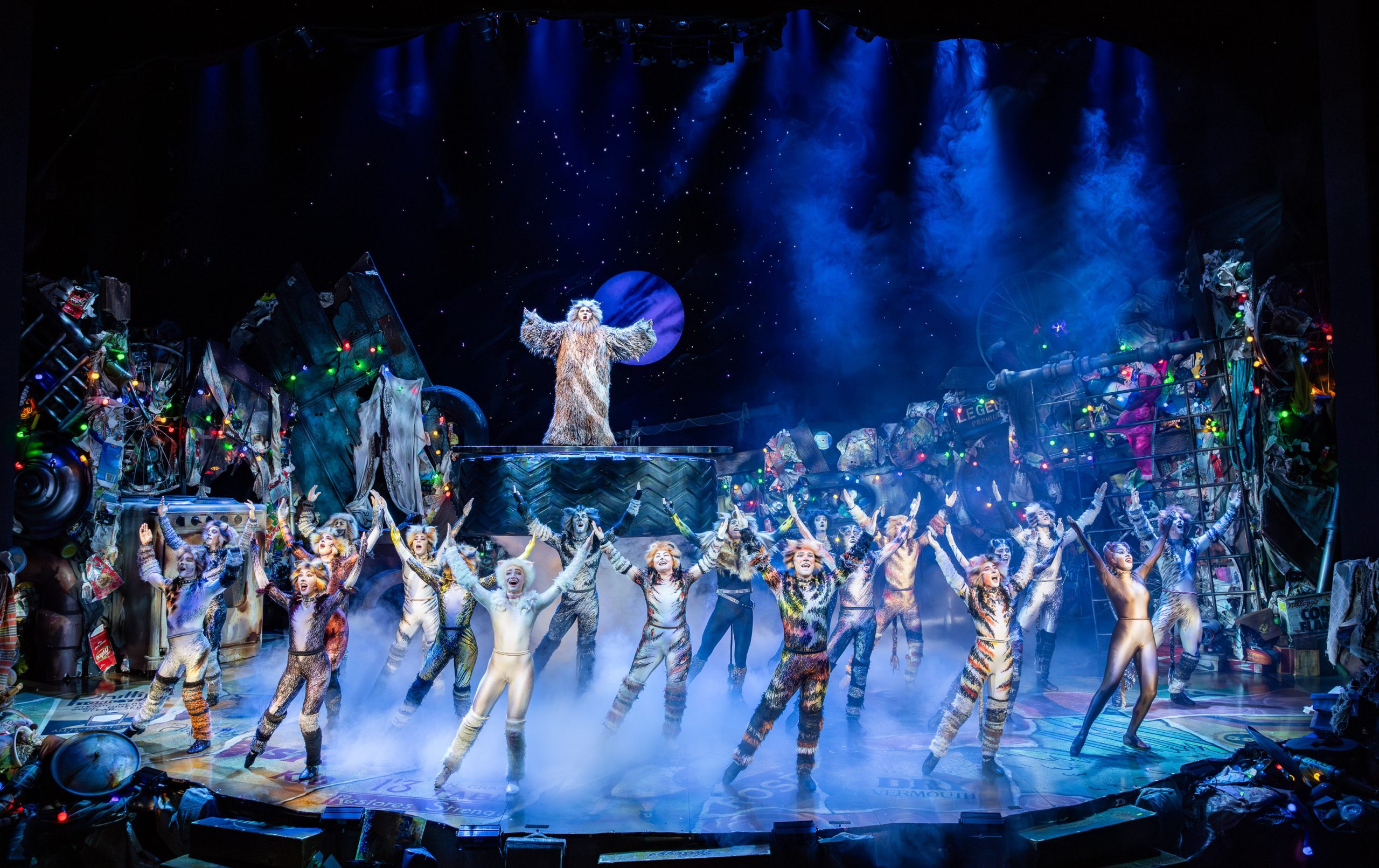 CATS 1 | August 2025 on TIX