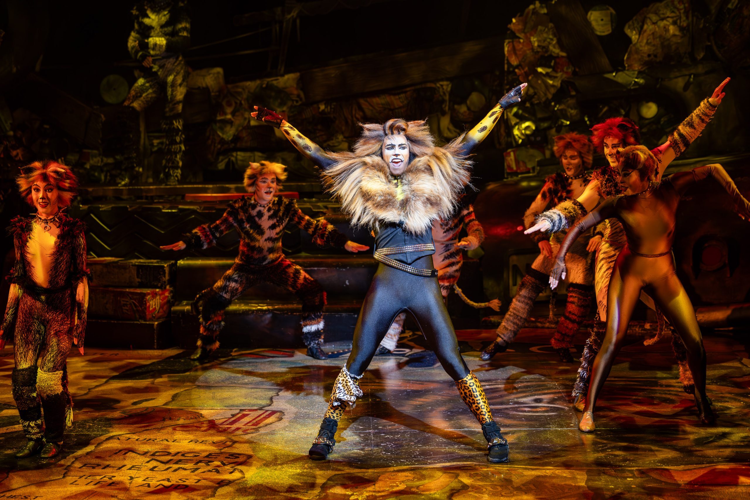 CATS 2 | August 2025 on TIX