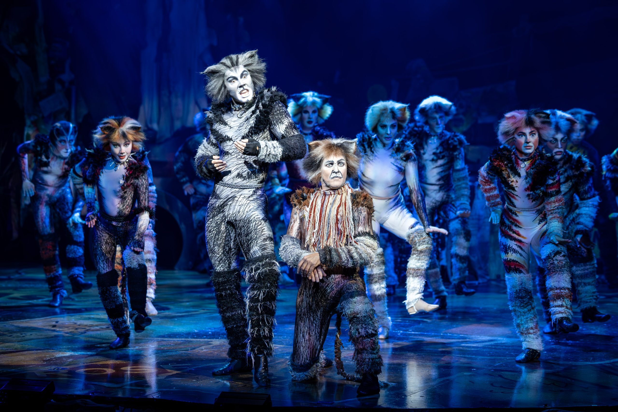 CATS 3 | August 2025 on TIX