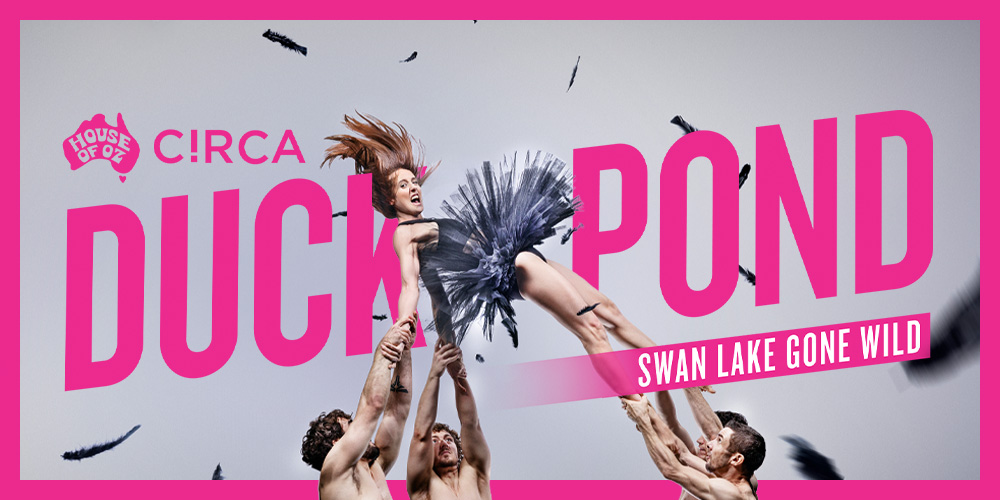 Duck Pond: Swan Lake Gone Wild