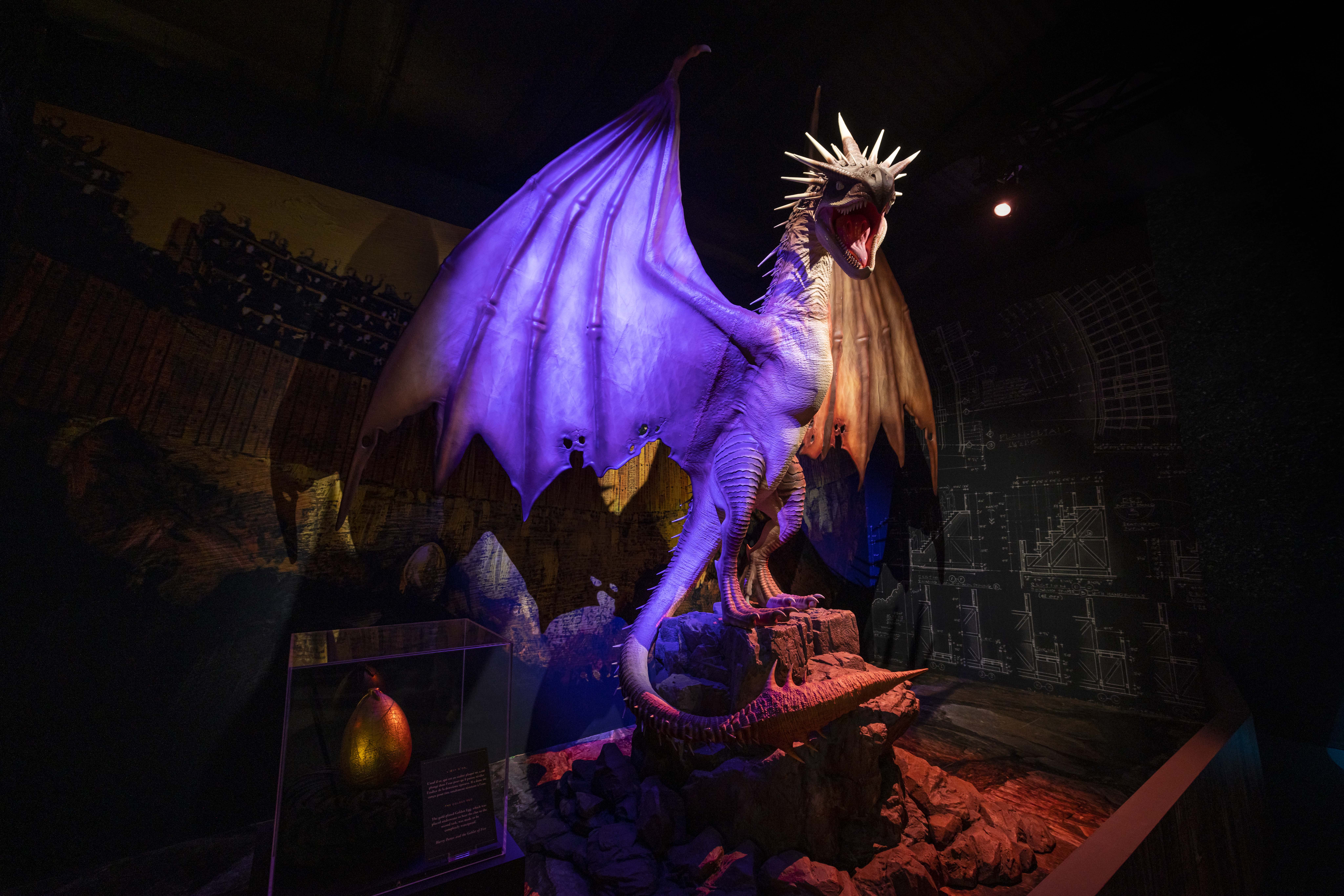 Harry Potter__ The Exhibition (4)