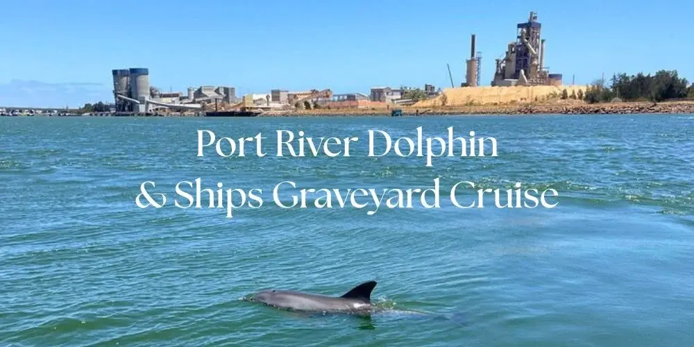 Port River Dolphin & Ships Graveyard Cruise